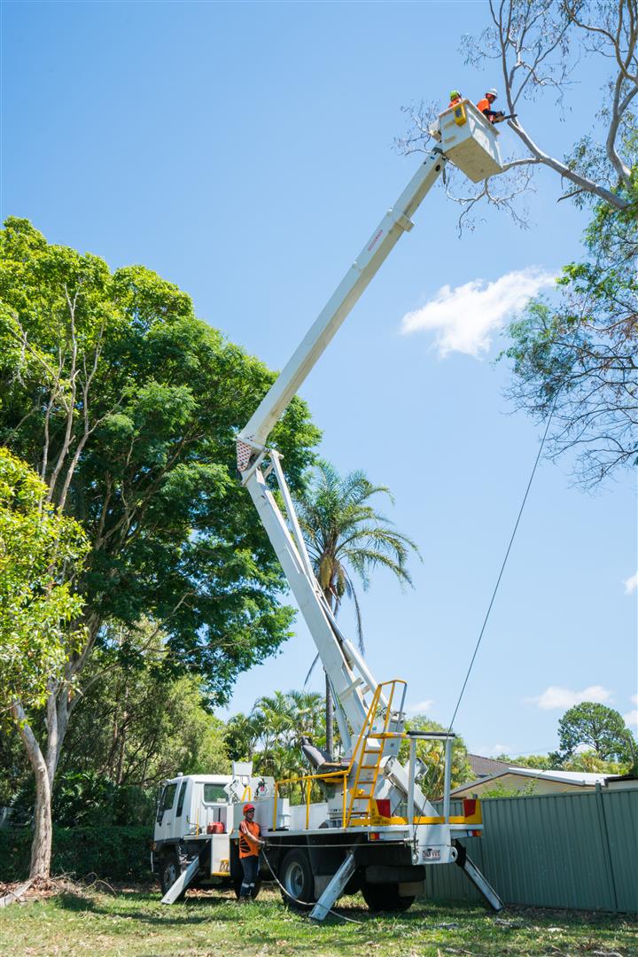 Cherry Picker Tall from Brisbane Tree Equipment Hire